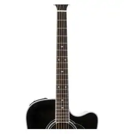 Takamine EF341SC2 Black