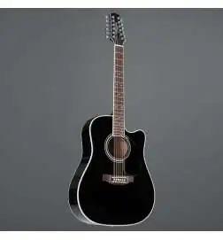Takamine EF381SC2 12-String Black Highgloss