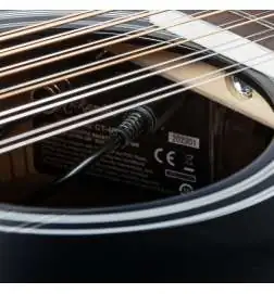 Takamine EF381SC2 12-String Black Highgloss