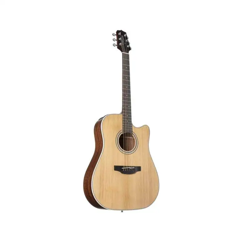 Takamine GD20CE NS2