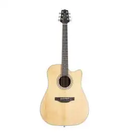 Takamine GD20CE NS2