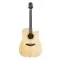 Takamine GD20CE NS2