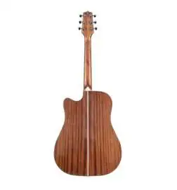 Takamine GD20CE NS2