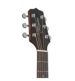 Takamine GD20CE NS2