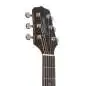 Takamine GD20CE NS2