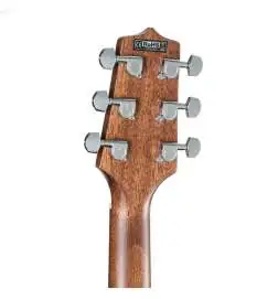Takamine GD20CE NS2
