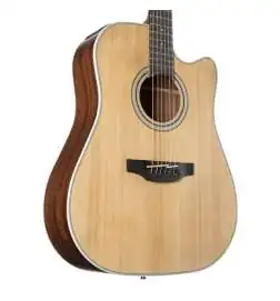 Takamine GD20CE NS2