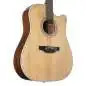 Takamine GD20CE NS2