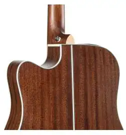 Takamine GD20CE NS2