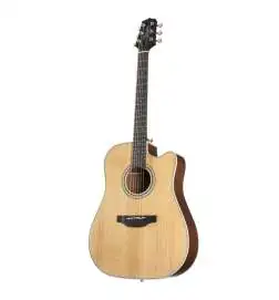 Takamine GD20CE NS2