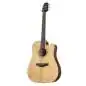 Takamine GD20CE NS2