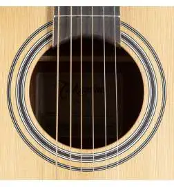 Takamine GD20CE NS2