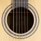 Takamine GD20CE NS2