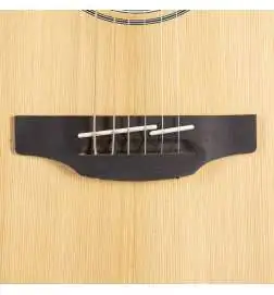 Takamine GD20CE NS2