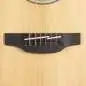 Takamine GD20CE NS2