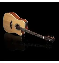 Takamine GD20CE NS2