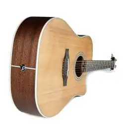 Takamine GD20CE NS2