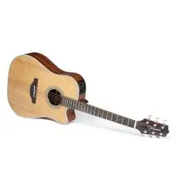Takamine GD20CE NS2