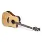 Takamine GD20CE NS2