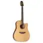 Takamine P3DC