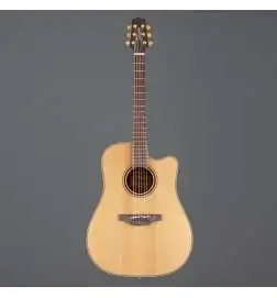 Takamine P3DC