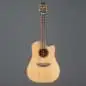 Takamine P3DC