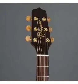Takamine P3DC