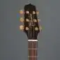 Takamine P3DC