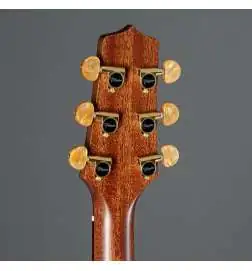 Takamine P3DC