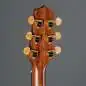 Takamine P3DC