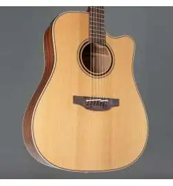 Takamine P3DC