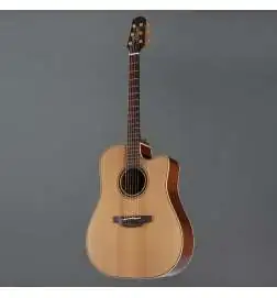 Takamine P3DC