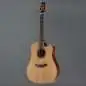 Takamine P3DC