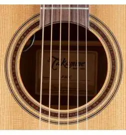 Takamine P3DC
