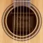 Takamine P3DC