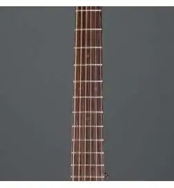 Takamine P3DC