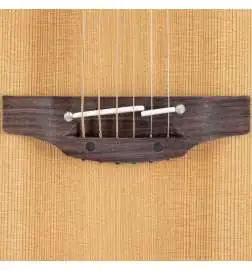 Takamine P3DC