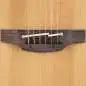 Takamine P3DC