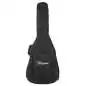 Takamine P3DC
