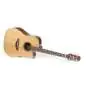 Takamine P3DC