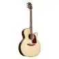 Takamine GN93CE-N2