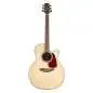 Takamine GN93CE-N2