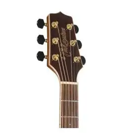 Takamine GN93CE-N2