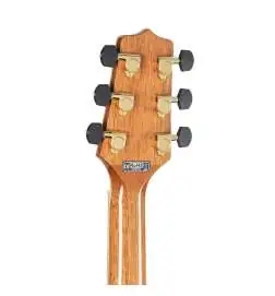 Takamine GN93CE-N2
