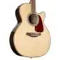 Takamine GN93CE-N2
