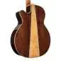 Takamine GN93CE-N2