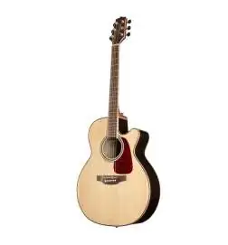 Takamine GN93CE-N2