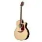 Takamine GN93CE-N2