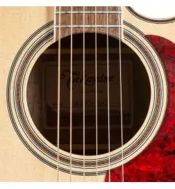 Takamine GN93CE-N2