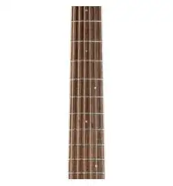 Takamine GN93CE-N2